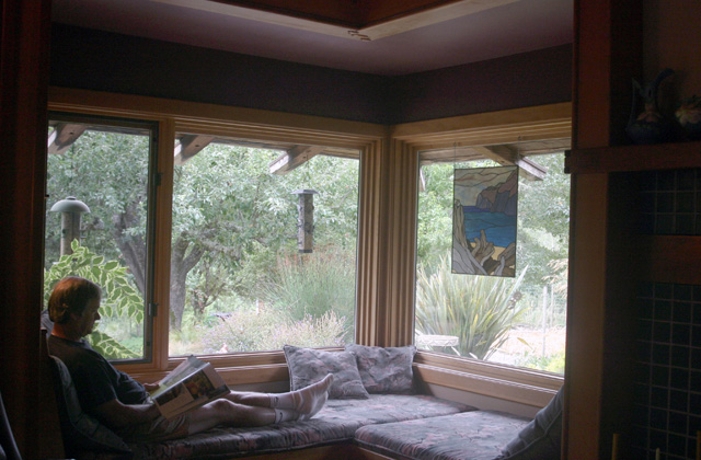 sunny window seat